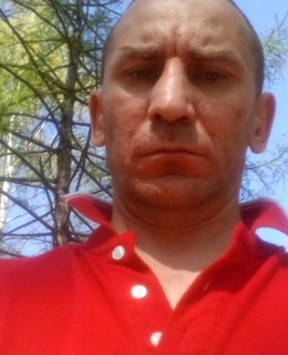 Серега
